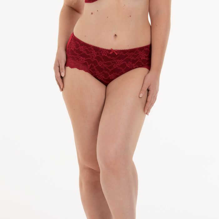 Anita Bobette High Waist Briefs