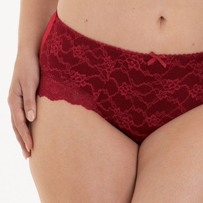 Anita Bobette High Waist Briefs