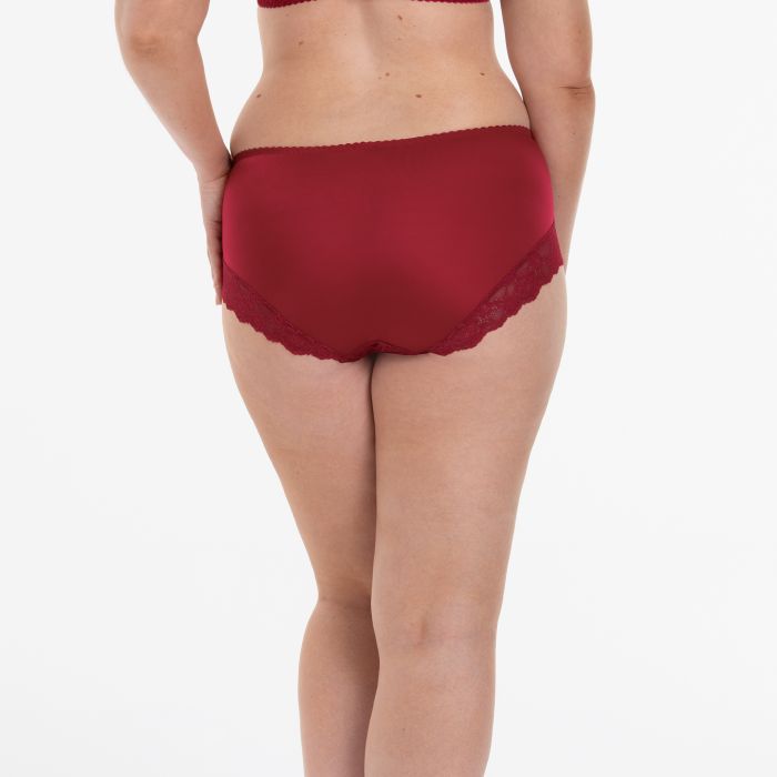 Anita Bobette High Waist Briefs