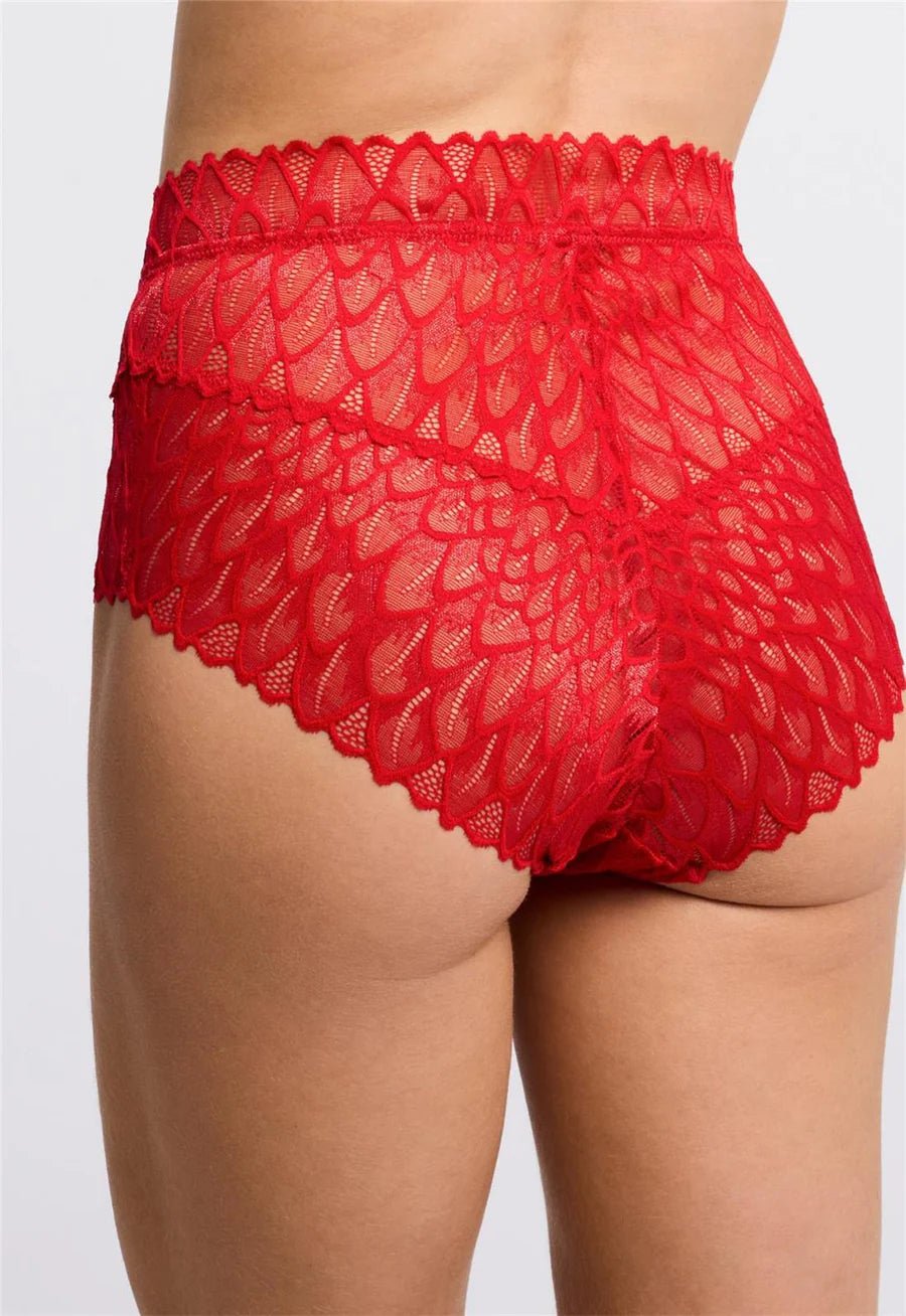 Montelle Lacy High Waist Brief