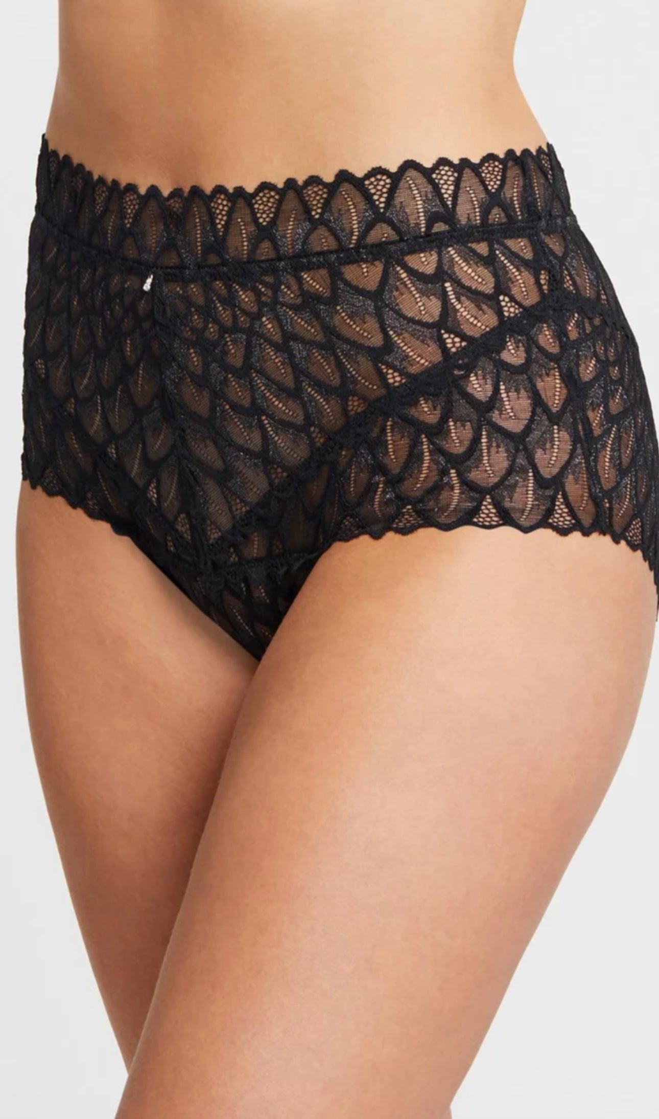 Montelle Lacy High Waist Brief