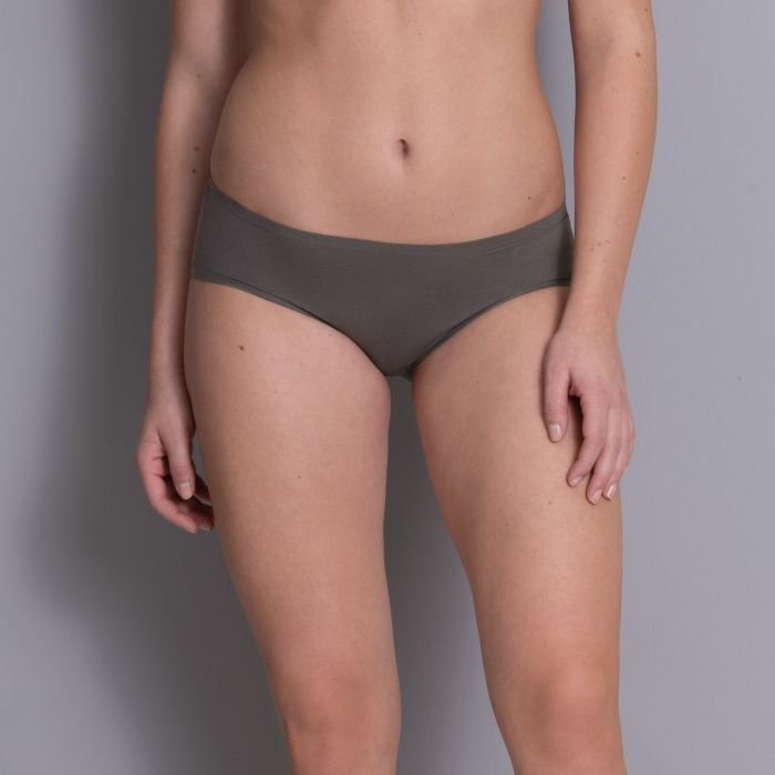 Anita Essential Hipster Briefs