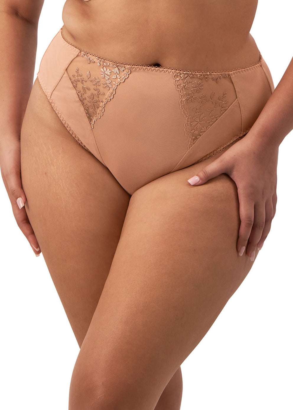 Elomi Zarla High Leg Brief