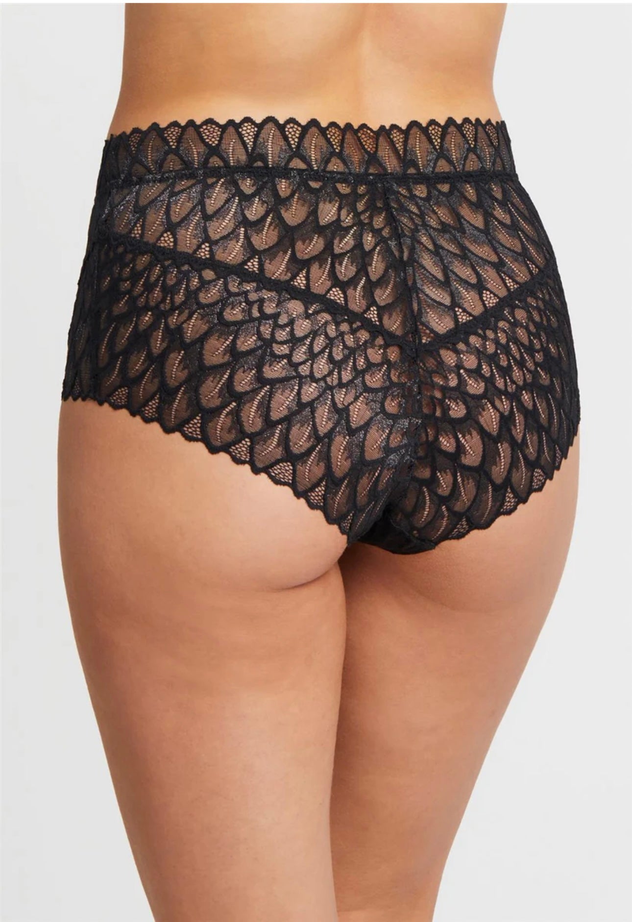 Montelle Lacy High Waist Brief