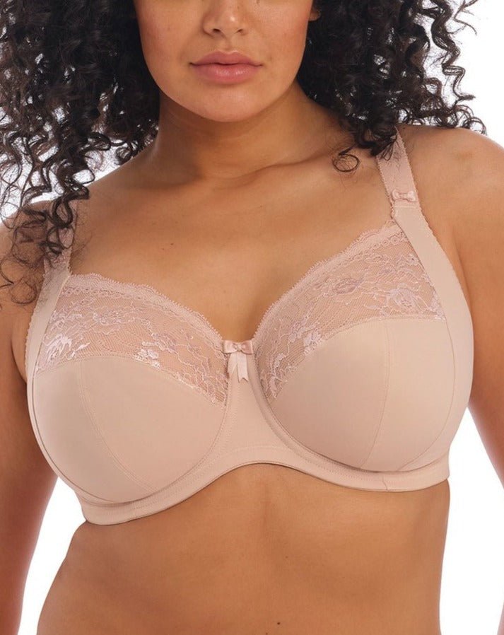 Elomi Bras, Plus-Sized Lingerie